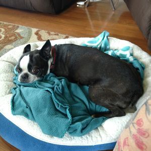 Meet your Posher, Kellie